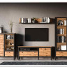 Гостиная Лофт (Loft) BRW заказать по цене 58 330 руб. в Уфе