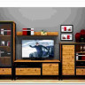 Гостиная Лофт (Loft) BRW заказать по цене 58 330 руб. в Уфе